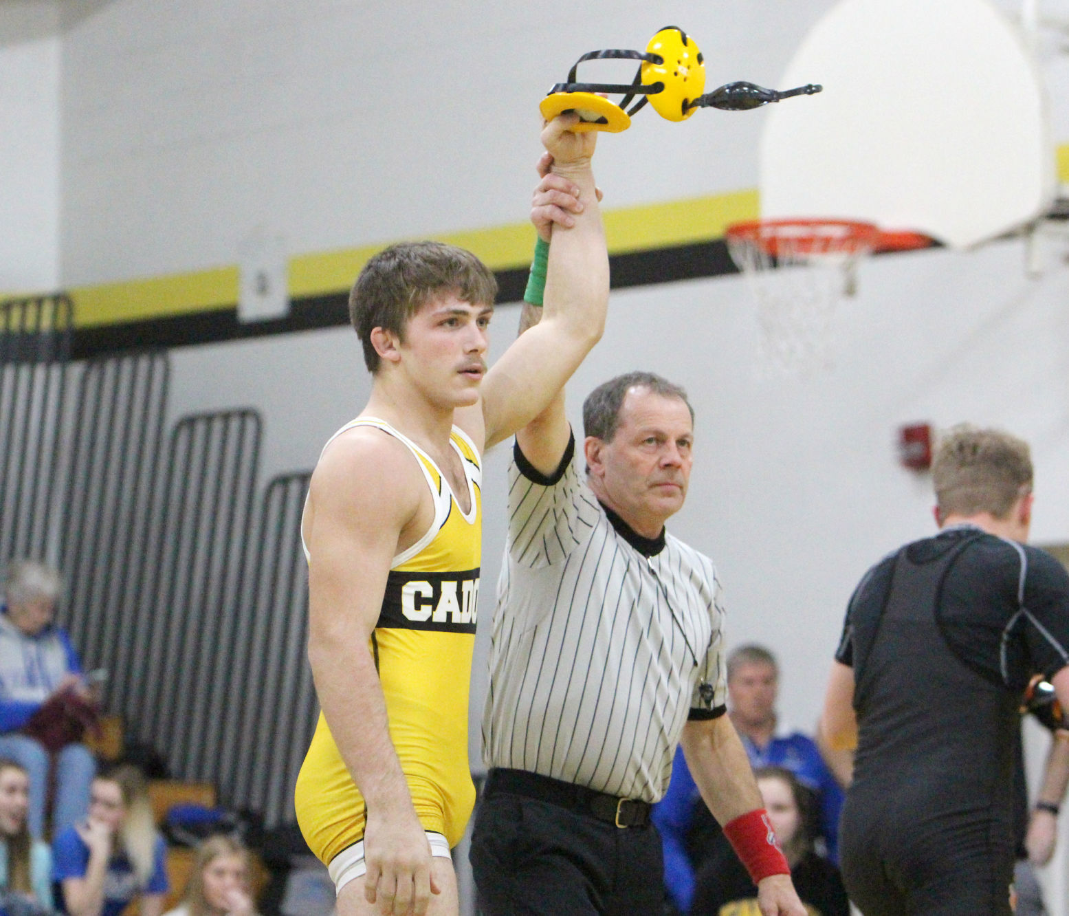Division 3 Wrestling Regional at Cadott 2-15-20